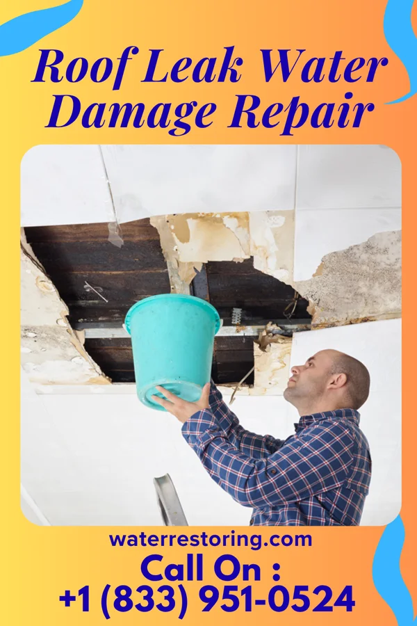 Roof Leak Water Damage Repair in Kirkwood, IL